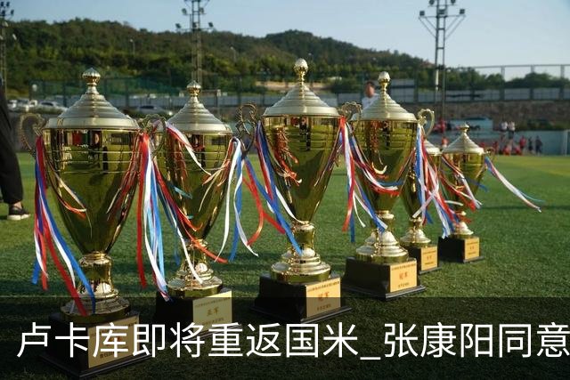 卢卡库即将重返国米 张康阳同意800万镑租借方案